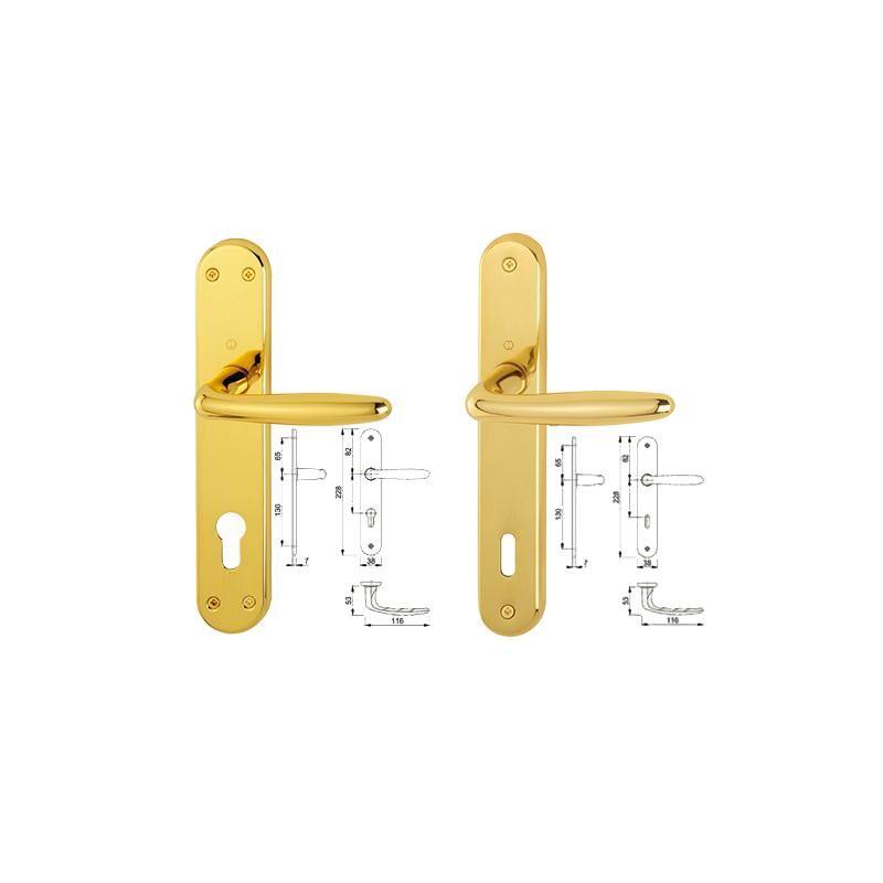 immagine 0 del prodotto maniglie roissy ottone 3213458
