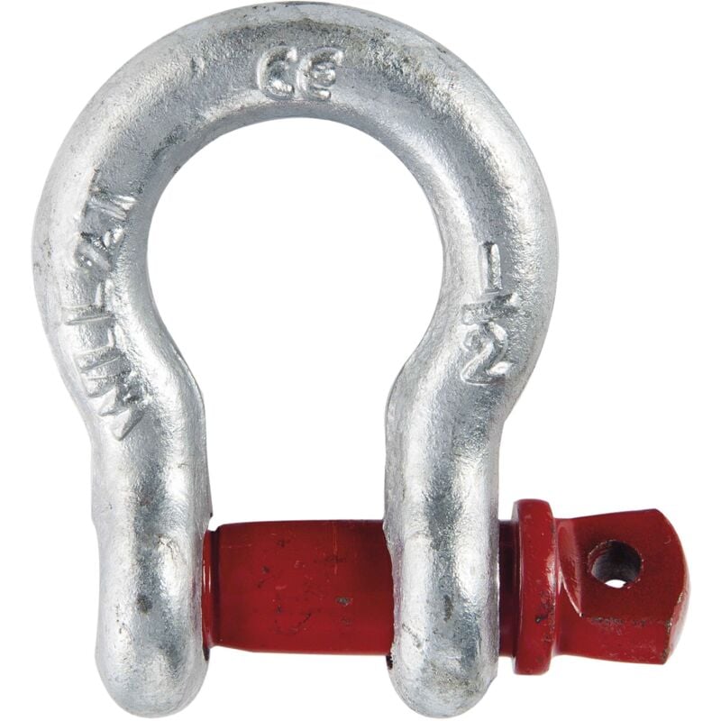 foto del prodotto manilla lira 2t