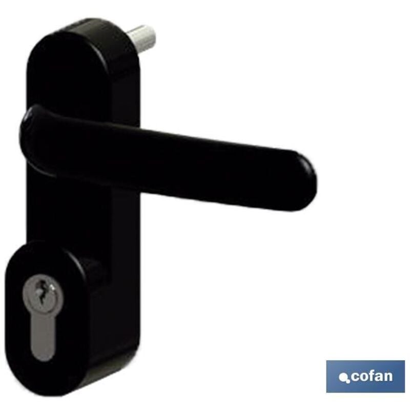 foto del prodotto manovella cilindro antipanico s.chiuso