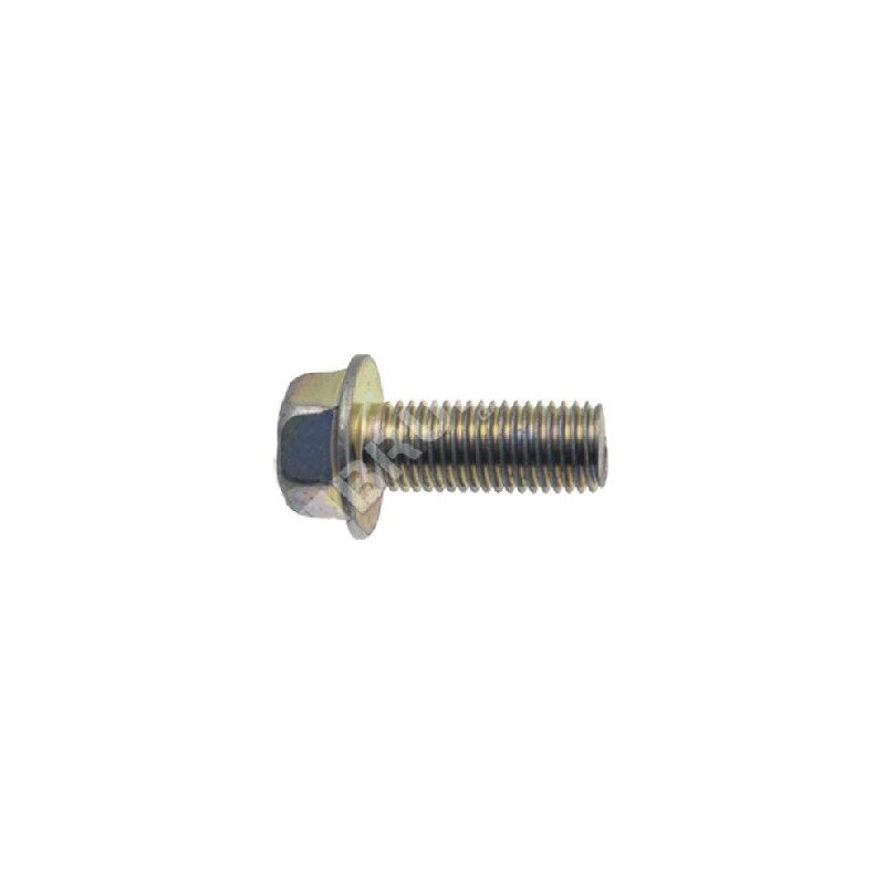foto del prodotto maori vite lama passo 1.25 mm lunghezza 25 mm per rasaerba compatibile 019974