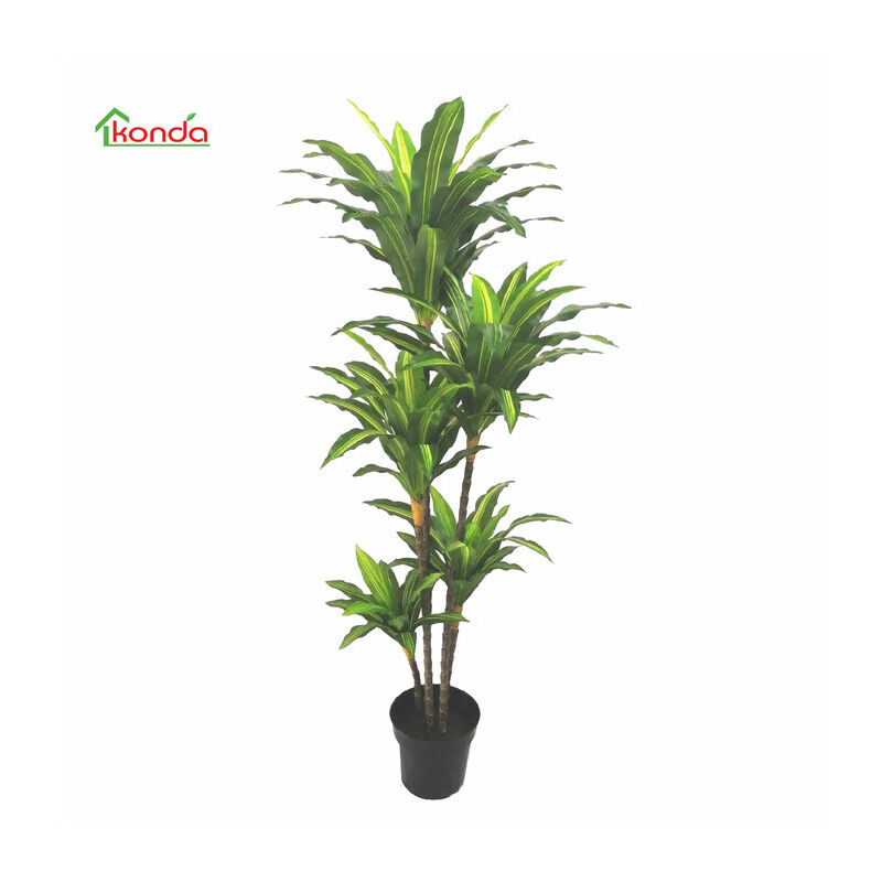 foto del prodotto marca pianta dracena artificiale 170 cm.