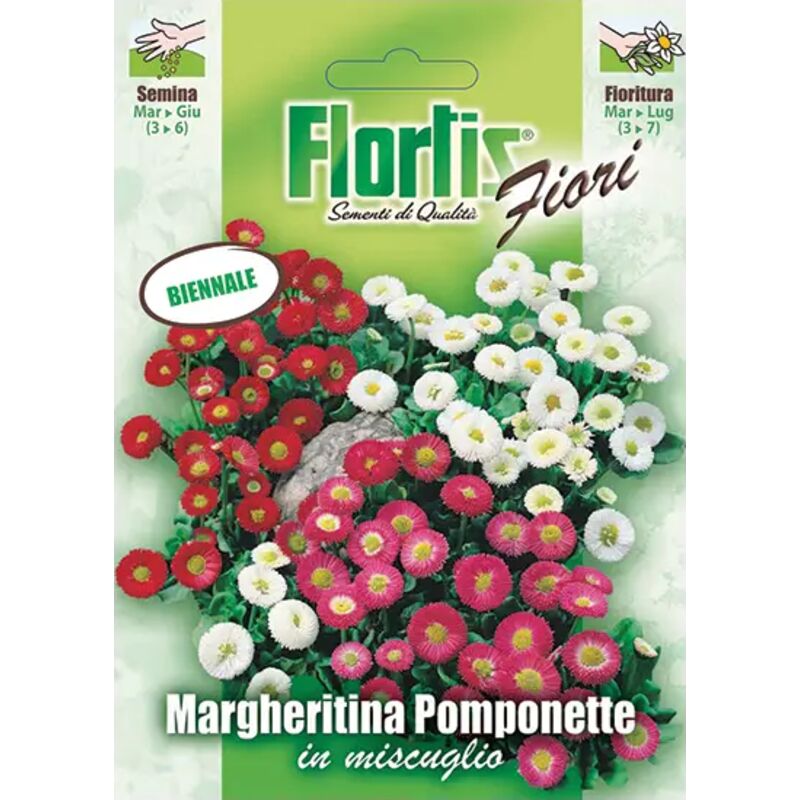 foto del prodotto margheritina pomponette mix flortis