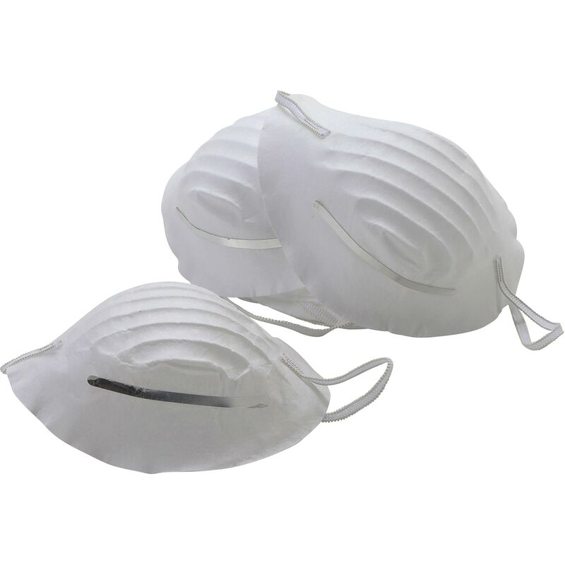 foto del prodotto mascherine filtranti 10 pezzi