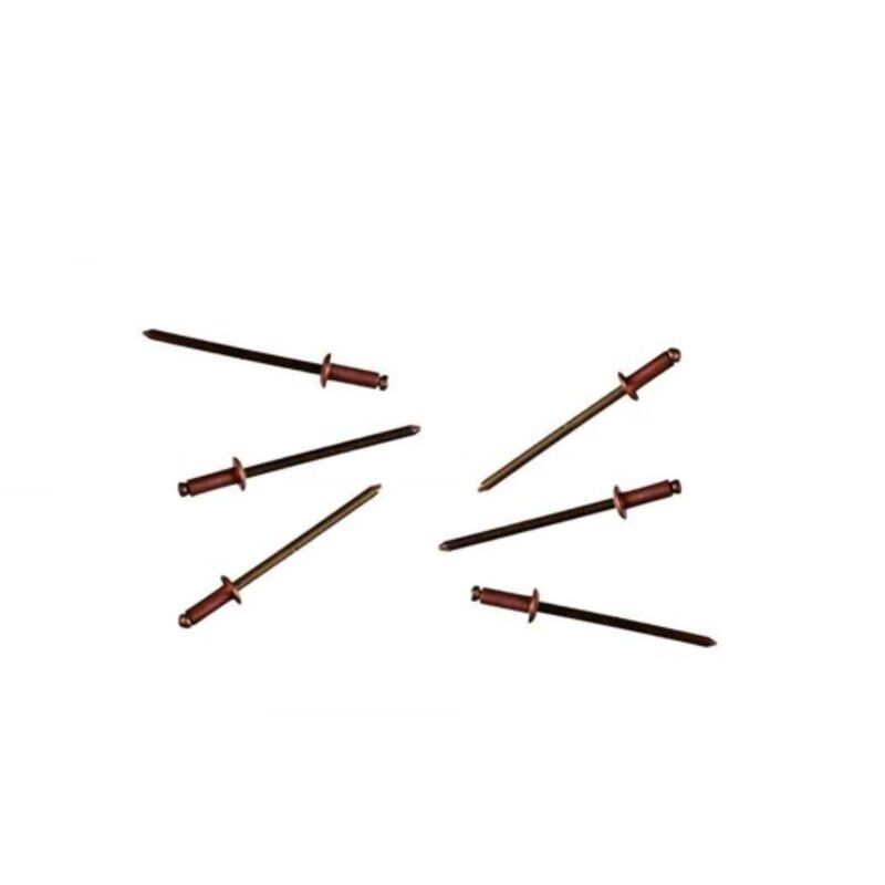 foto del prodotto masidef blister 50 rivetti ciechi in rame 3,2x10,0