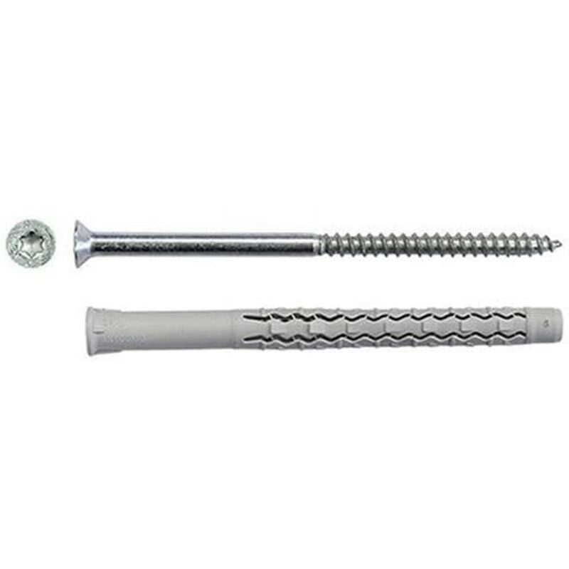 immagine 0 del prodotto masidef member of the w rth group tls09110200 tasselli prolungati nylon a 2 settori vite tps torx, grigio, 10x200mm