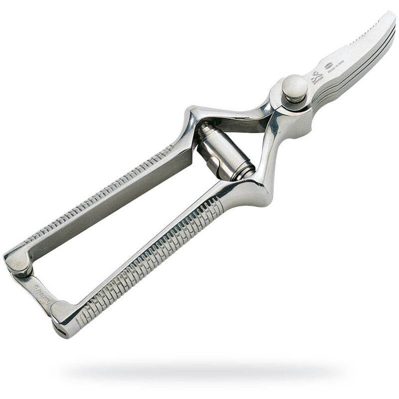 foto del prodotto masticatore premax