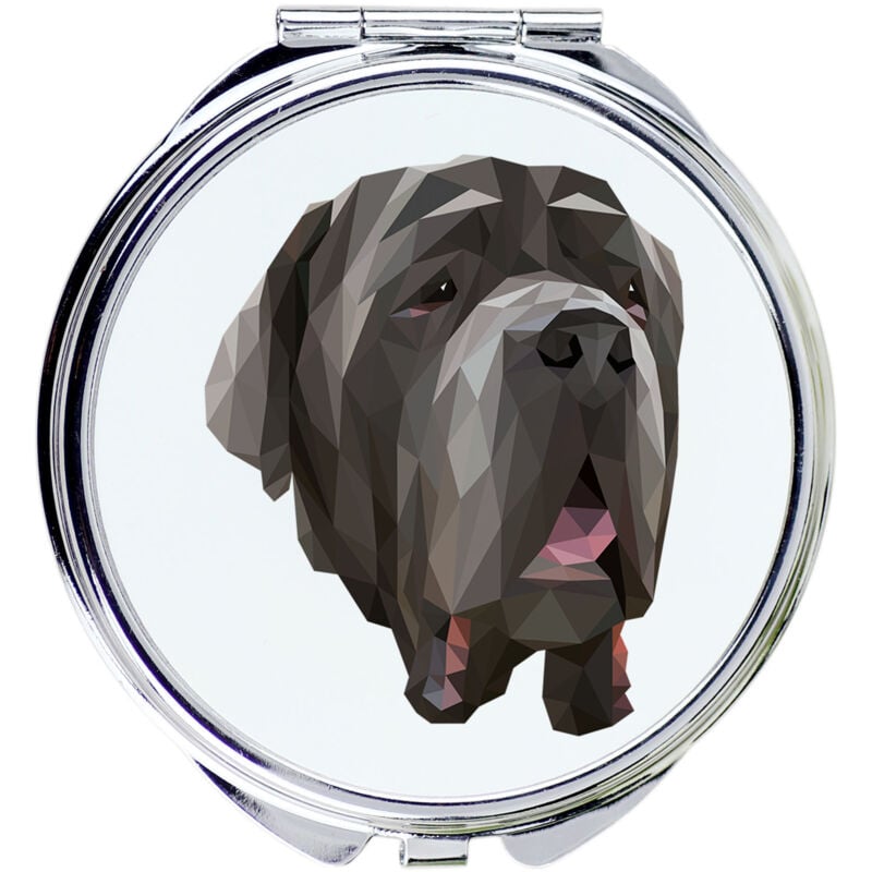 foto del prodotto mastino napoletano, mastino napoletano, mastino napoletano specchio con foto e scritta geometrica di art dog