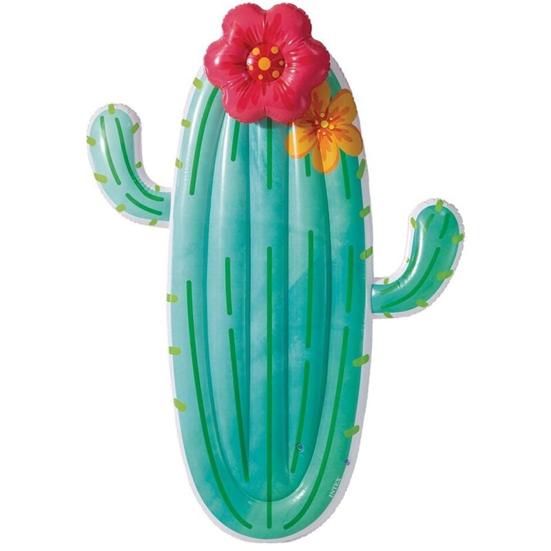 foto del prodotto materassino gonfiabile cactus cm 185 x 140