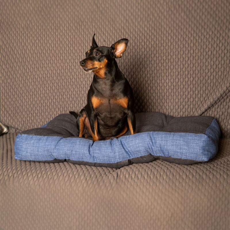 foto del prodotto materasso per cane e gatto, morbido, ortopedico small buggy