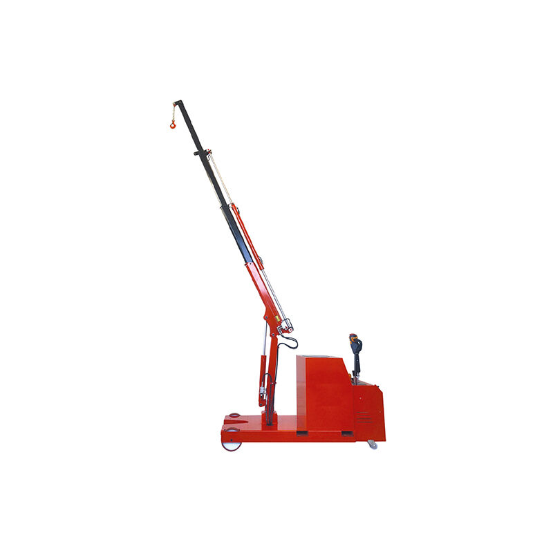 foto del prodotto matis re gru elettrica per officina 1t sbalzo 3096 mm capra di sollevamento elettrica sollevamento massimo 4500 mm batterie agm atlas1te3r