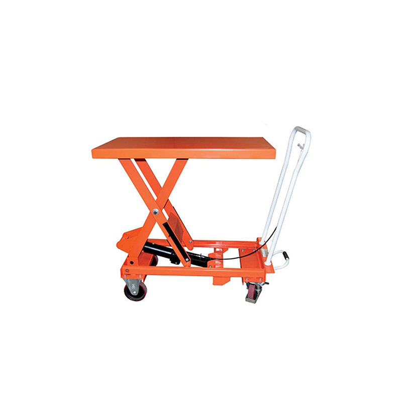 foto del prodotto matis re tavola elevatrice mobile portata 750 kg piattaforma 1010x520 mm bs75