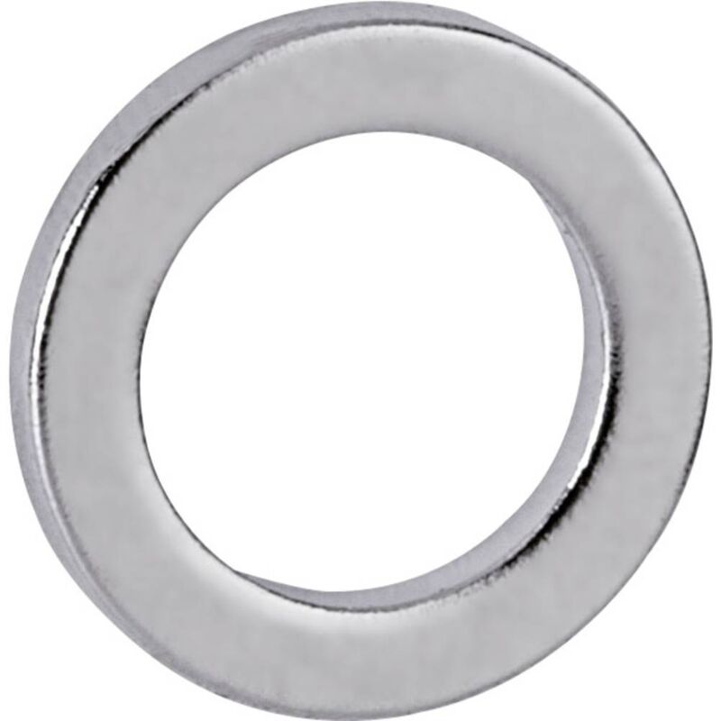 foto del prodotto maul magnete neodimio x a 12 mm x 1.5 mm anello argento 10 pz. 6168396