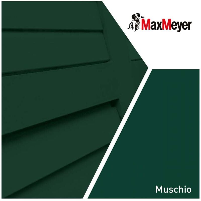 foto del prodotto max meyer maxmeyer smalto a solvente brillante muschio r6005 0,125 l