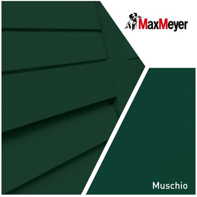 foto del prodotto maxmeyer smalto a solvente brillante muschio r6005 0,750 l