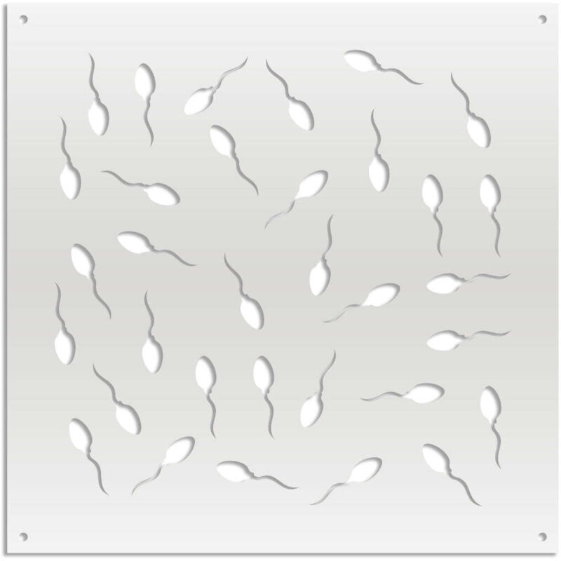 foto del prodotto maybe life pannello in pvc traforato parasole misura 48x48 cm colore bianco