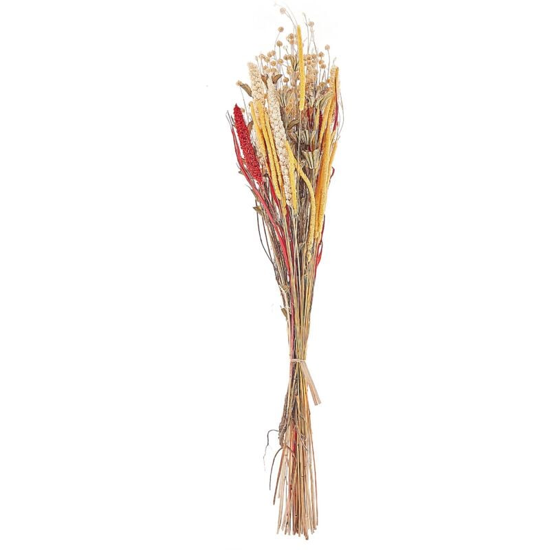 foto del prodotto mazzo di fiori secchi decorativi 65 cm rosso e giallo pampeluna