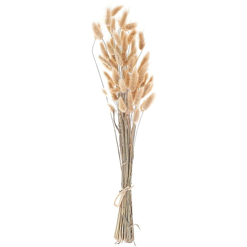 foto del prodotto mazzo di fiori secchi decorativi naturale 58 cm sanabria
