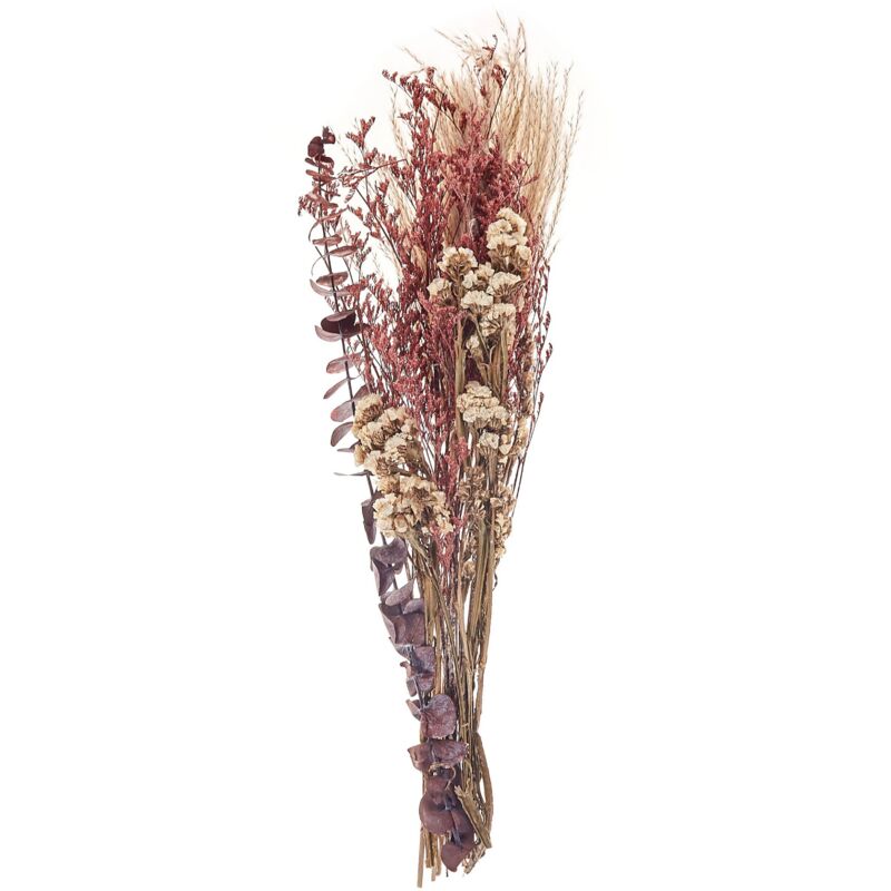foto del prodotto mazzo di fiori secchi decorativi rosa 55 cm araba