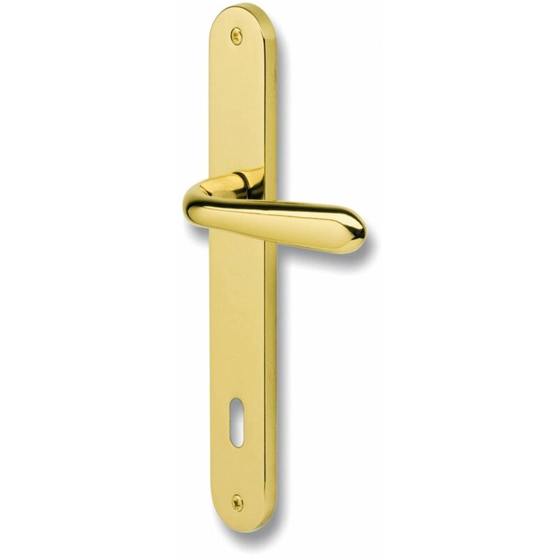 foto del prodotto meg maniglia per porta gm05 foro patent zgctol zalor oro lucido dist. 90