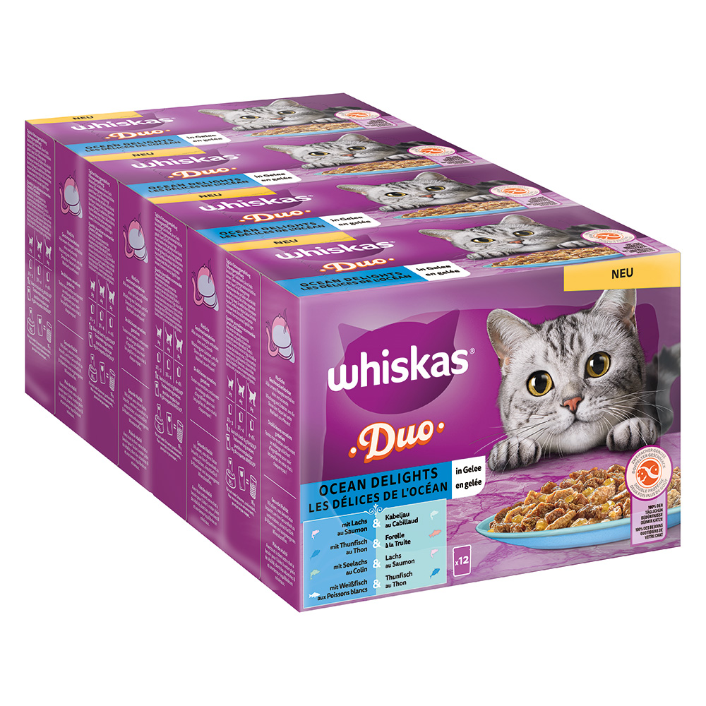 foto del prodotto megapack risparmio! whiskas duo in buste 96 x 85 g alimento umido per gatto - delizie dell'oceano in gelatina