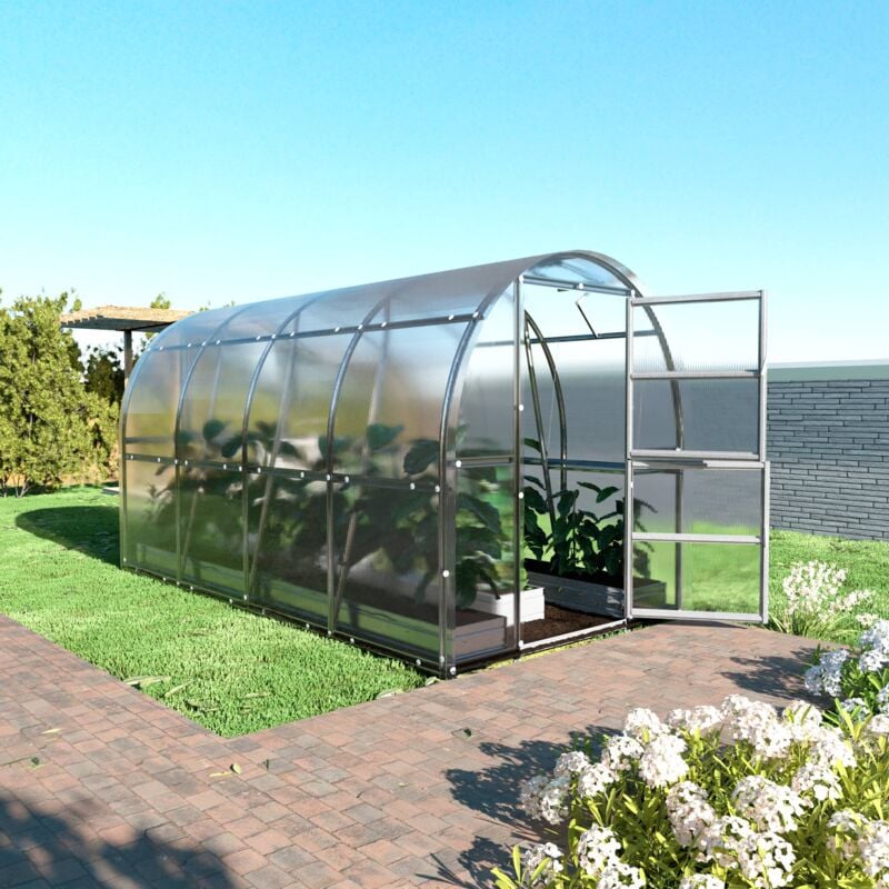 foto del prodotto meistro kodas serre da giardino robuste klasika slim 2 x 4 m 8 m , 6 mm con rivestimento in policarbonato