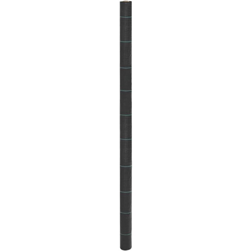 foto del prodotto membrana antierbacce nera 2x25 m in pp vidaxl