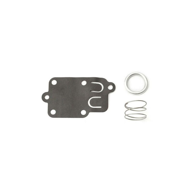 foto del prodotto membrana del carburatore briggs and stratton