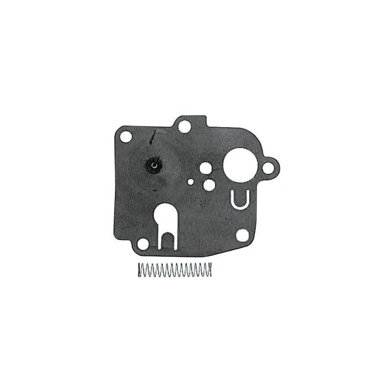 foto del prodotto membrana motore briggs stratton 09 11 verticale con carburatore pulsa jet