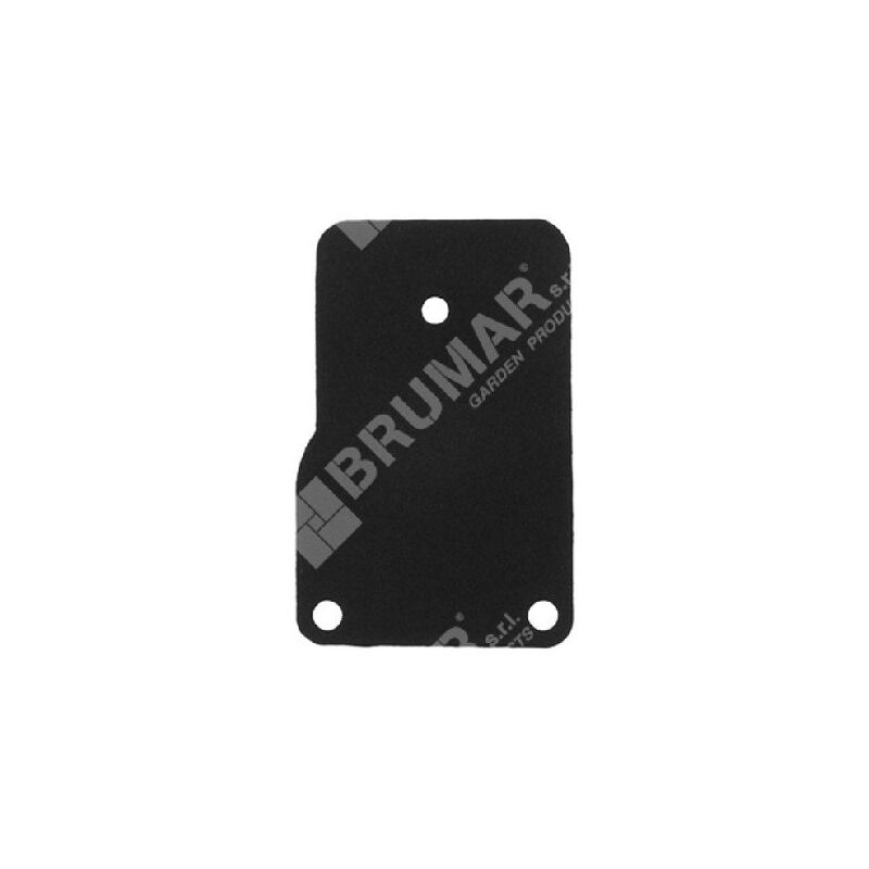 foto del prodotto membrana per carburatori briggs stratton 270989 compatibile 000092