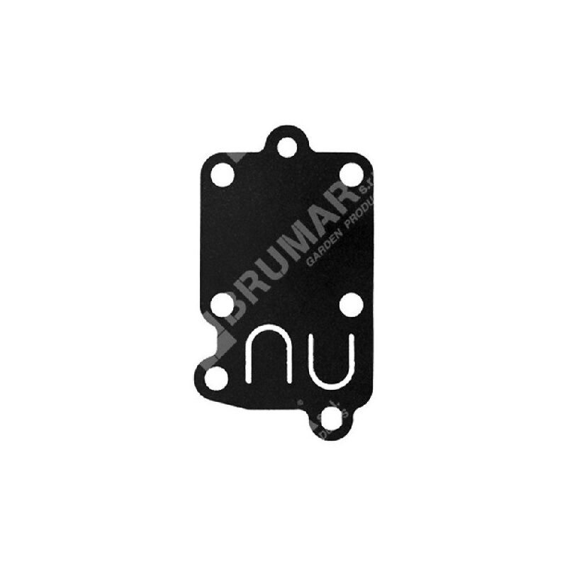 foto del prodotto membrana per carburatori briggs stratton 272538s compatibile 014419