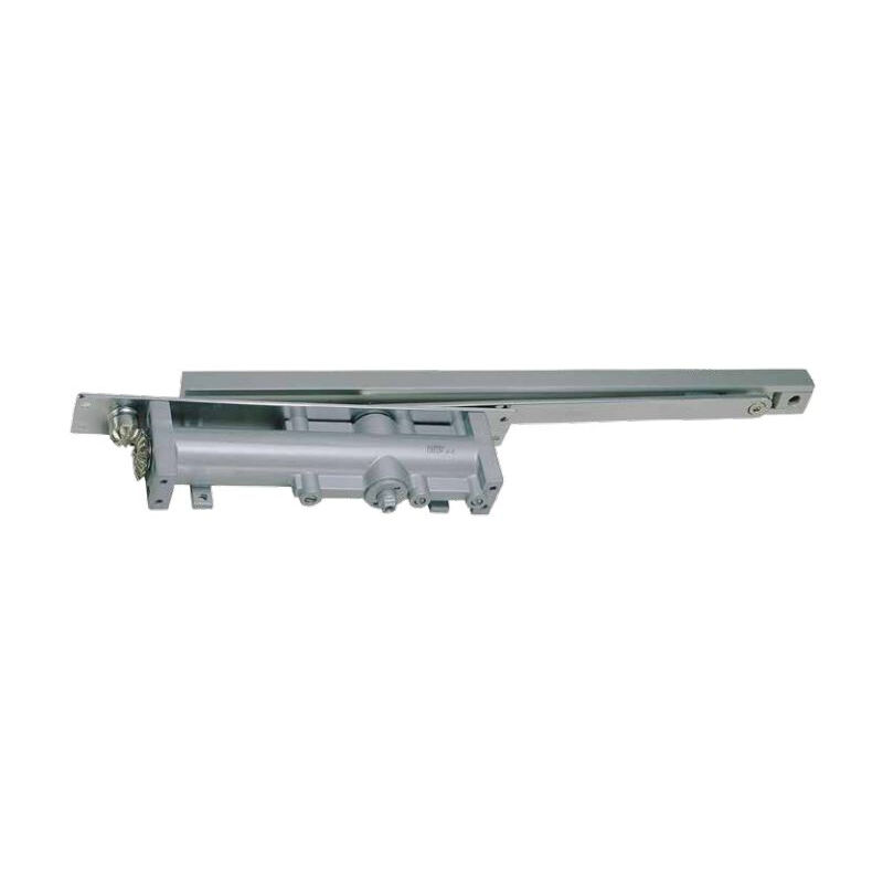 foto del prodotto meroni chiudiporta dc550 force 2 4 guida argento dadc55024hsna