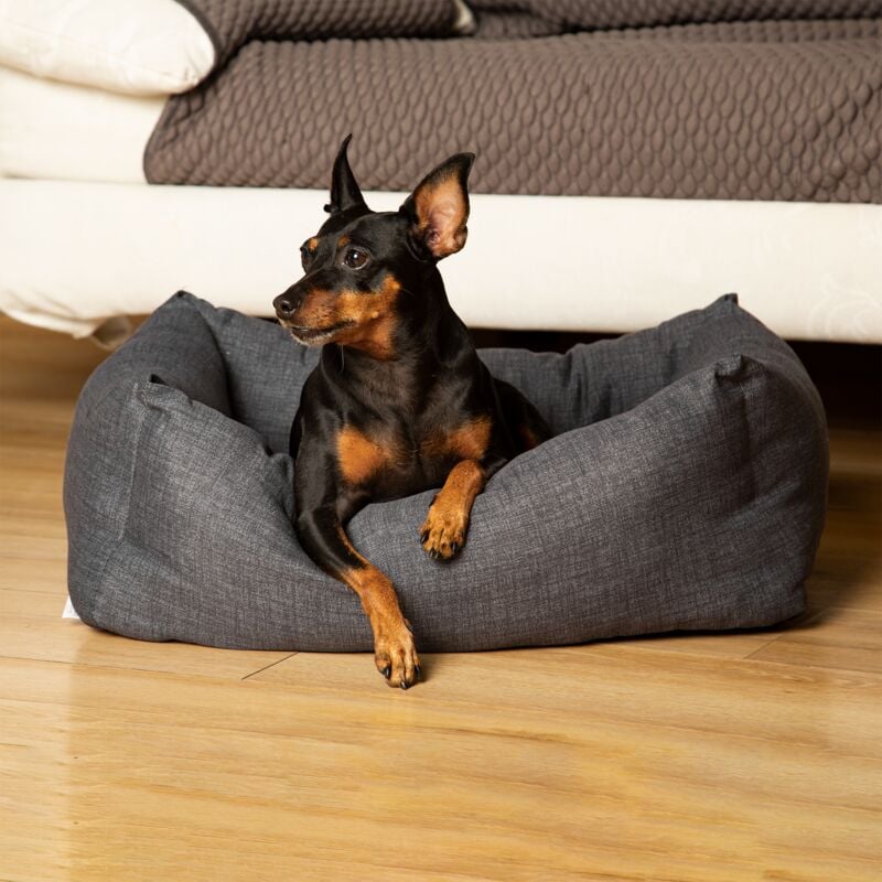 foto del prodotto miasuite cuccia per cane e gatto, xl 85x110cm snuggy