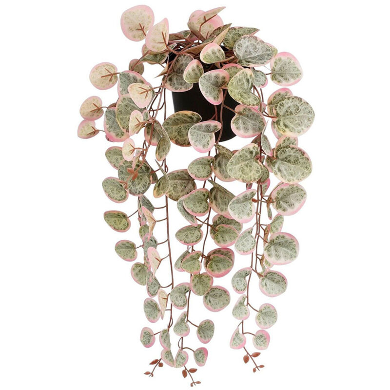 foto del prodotto mica decorations mica decorazioni pianta decorativa ceropegia woodii 10 x 46 x 12 cm pianta artificiale da appendere