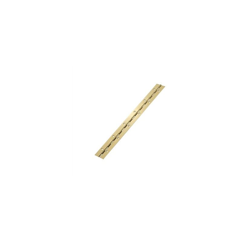 foto del prodotto micel cerniera per pianoforte striscia ottone 42cm 32mm 33201