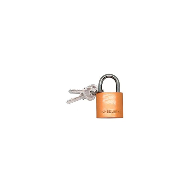 foto del prodotto micel lucchetto ad arco basic cn17 da 20 mm con arco spesso 3 mm in ottone include 2 chiavi 