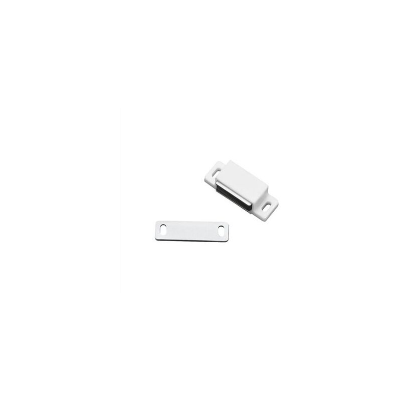 foto del prodotto micel scatola da 100 magneti perforati bianchi 43x15mm 10901