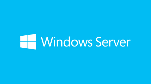 foto del prodotto microsoft windows server 2019 client access license cal 