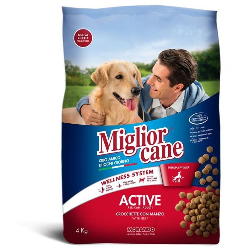 foto del prodotto miglior cane crocchette active con manzo 4 kg