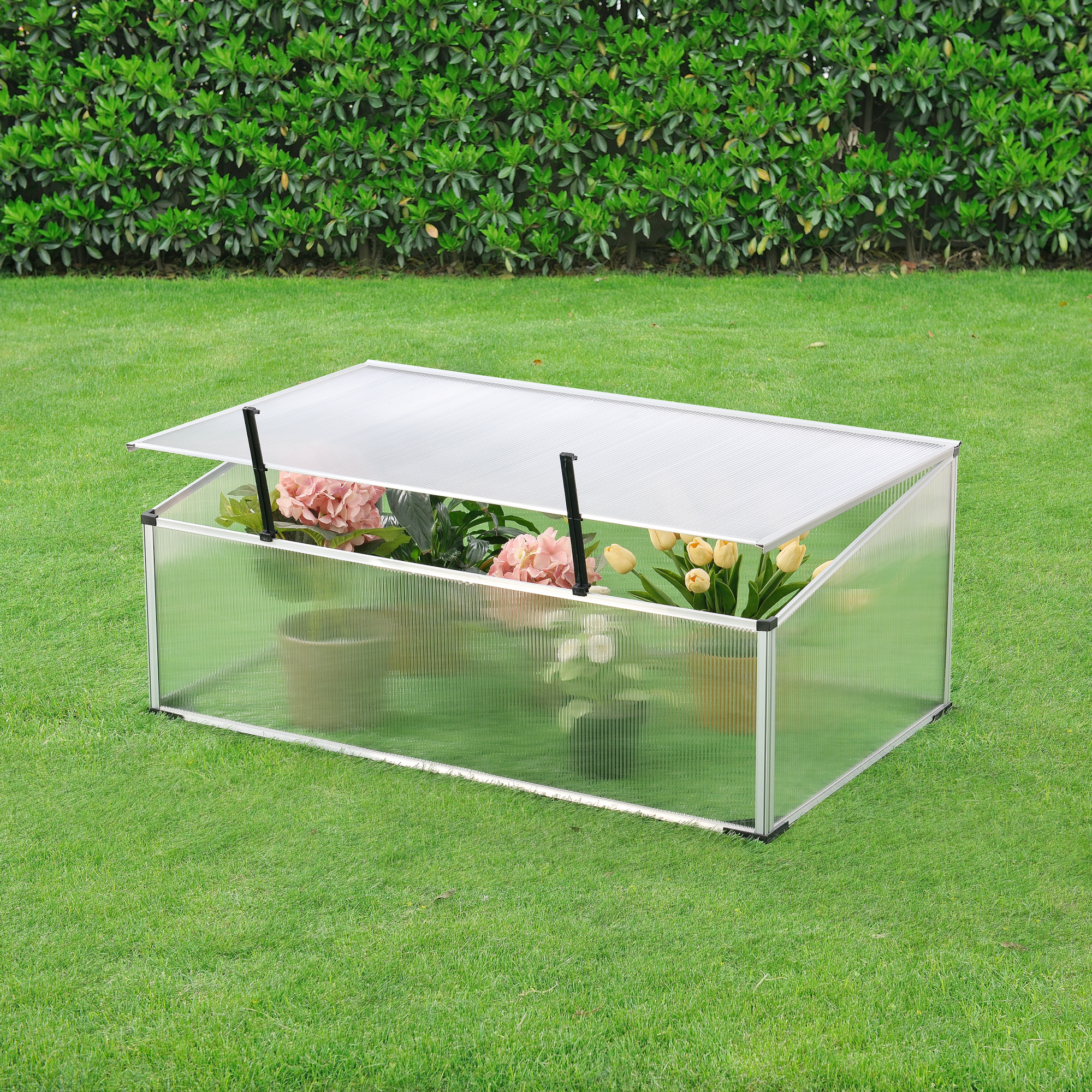 foto del prodotto mini serra da balcone terrazza per piante box traslucido in policarbonato 60 x 100 x 30 40 cm protezione piantine con