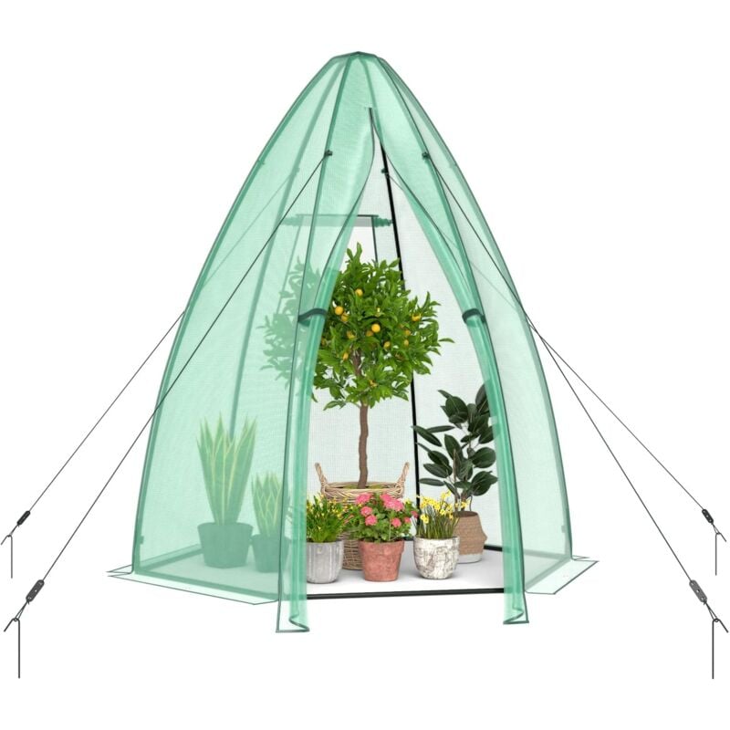 foto del prodotto mini serra per interni ed esterni 160 x 160 x 183 cm, serra portatile da passeggio, porta con cerniera avvolgibile, serra per piante in plastica per