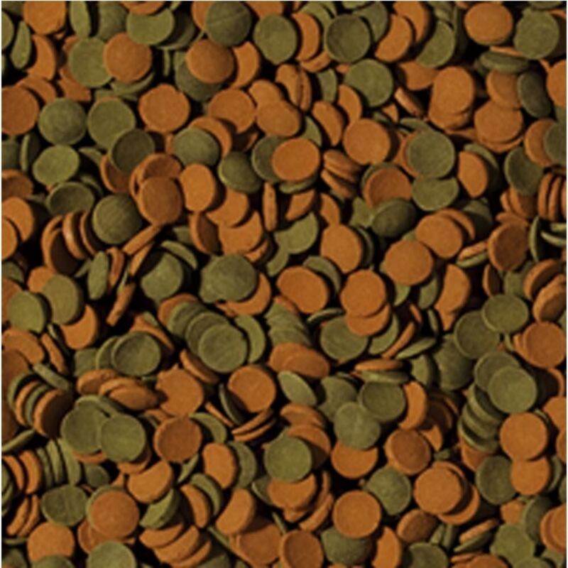 foto del prodotto mini wafer mix formato 100 ml tropical