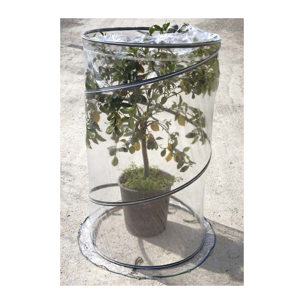 foto del prodotto miniserra pop-up citrus cm 90xh150