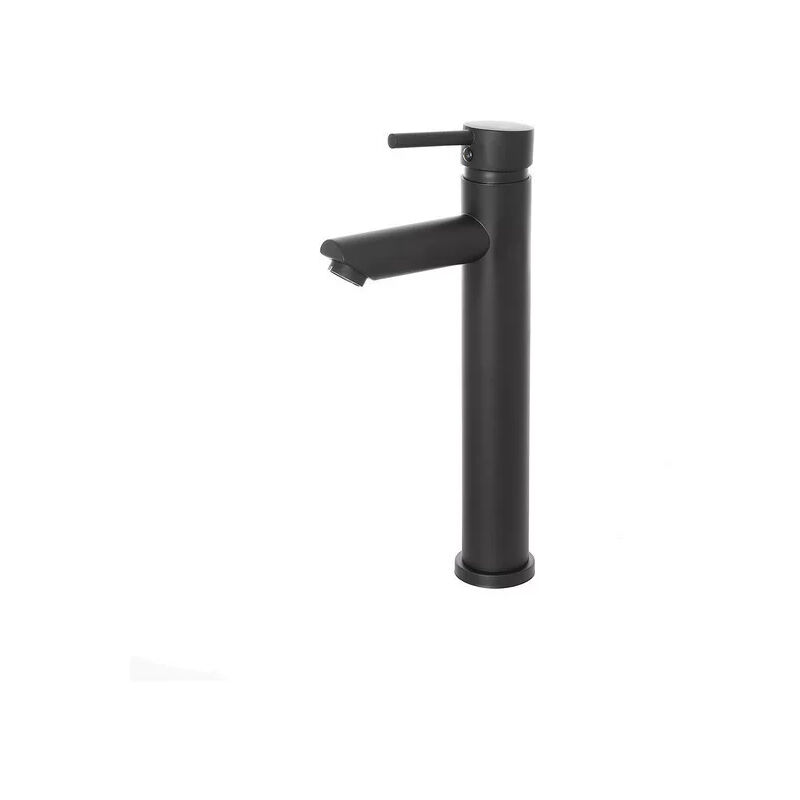 foto del prodotto miscelatore alto lavabo york h295mm nero opaco