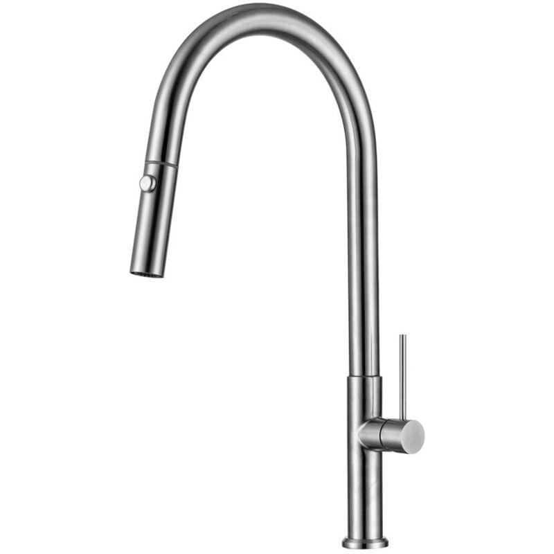 foto del prodotto miscelatore monocomando con doccetta estraibile e braccio girevole, 2 getti, look acciaio inox swiss aqua technologies