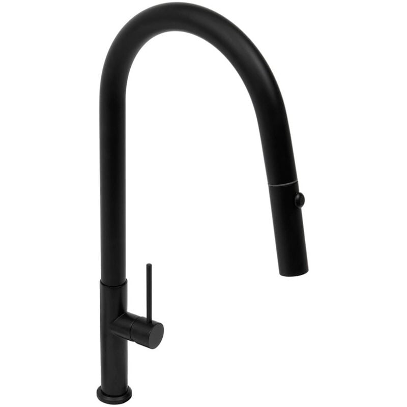 foto del prodotto miscelatore monocomando con doccetta estraibile e braccio orientabile, 2 getti, nero opaco satbsd288c swiss aqua technologies