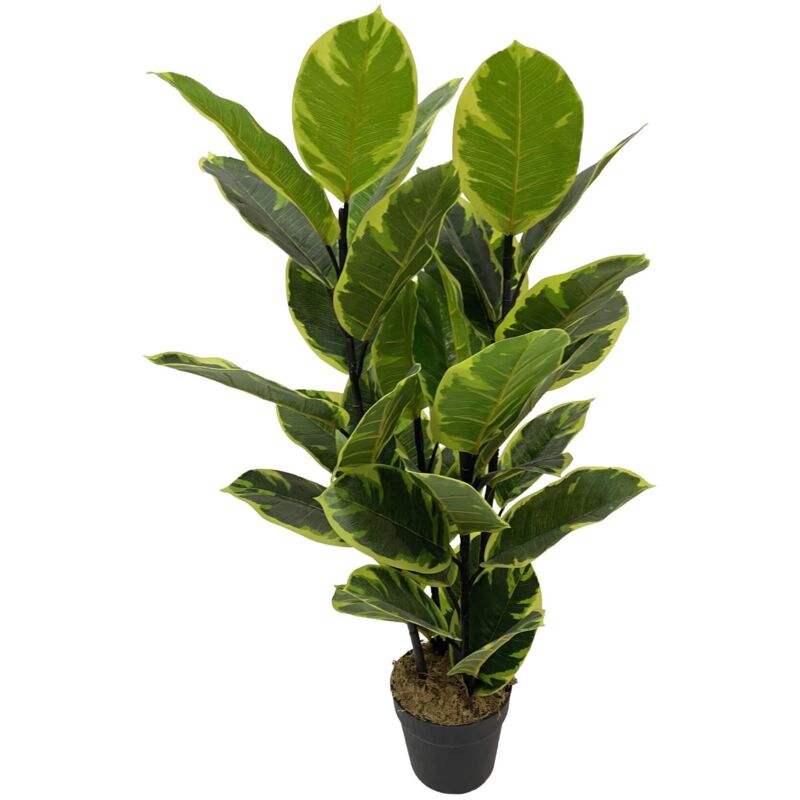 foto del prodotto mobili rebecca pianta artificiale fico indiano rebecca mobili baishi 90x35x35 peva polietilene verde marrone