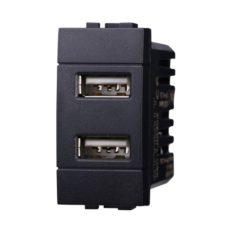 foto del prodotto modulo doppia presa usb 2.0 tipo a, 5vdc 2,1a, serie space, nero, compatibile con serie bticino living ettroit ln2402