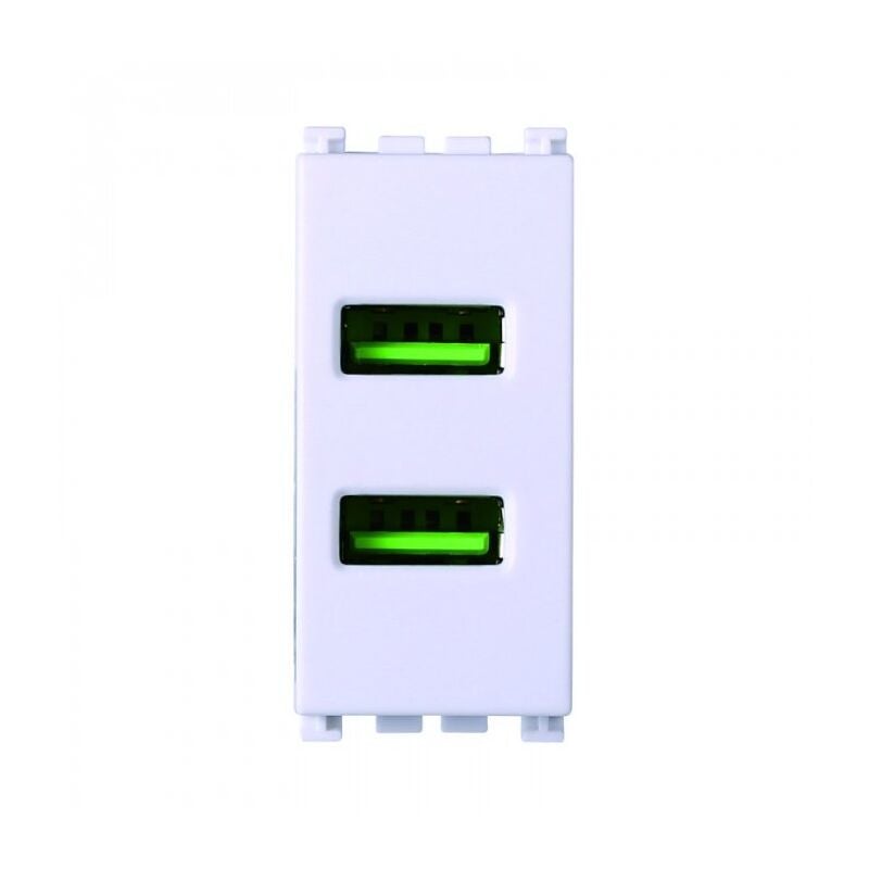 foto del prodotto modulo doppia presa usb 2.0 tipo a, 5vdc 2,1a, serie venus, bianco, compatibile con serie vimar ark ettroit va2402b