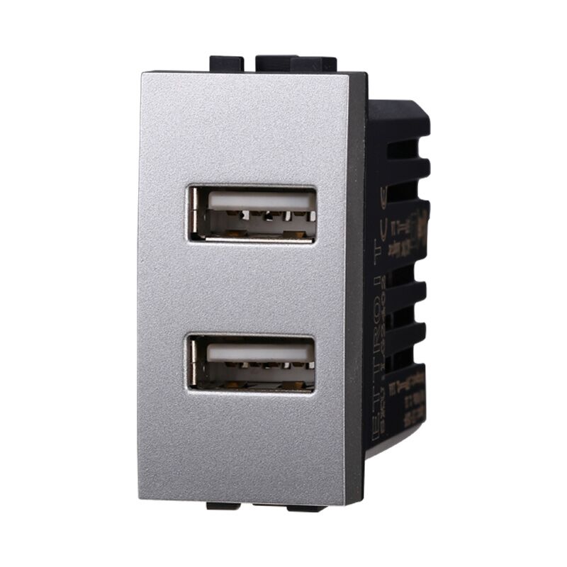 foto del prodotto modulo presa caricatore usb doppio type a 1p 3.1a 5v silver compatibile bticino serie living ettroit