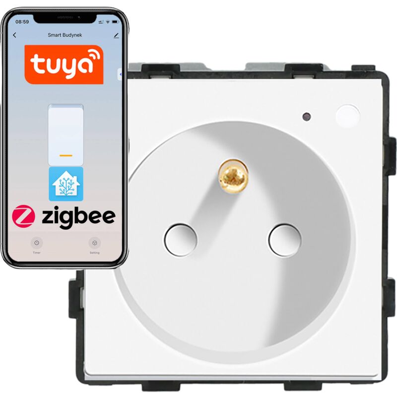 foto del prodotto modulo presa elettrica con spinotto zigbee 230v, bianco